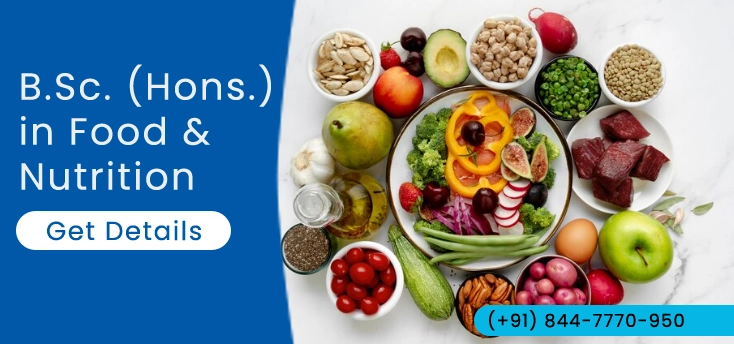 Bachelor of Science (B.Sc. - Hons.) in Food & Nutrition Admission