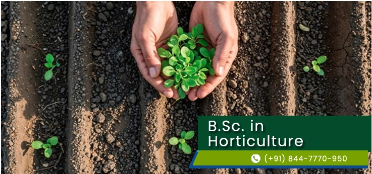 Direct Bachelor of Science (B.Sc.) in Horticulture in Delhi