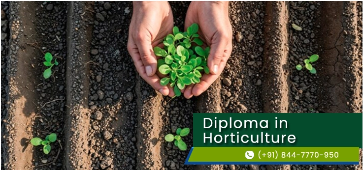 Direct Diploma in Horticulture in Delhi