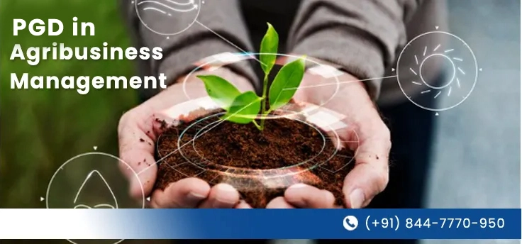 Direct PGD in Agribusiness Management in Delhi